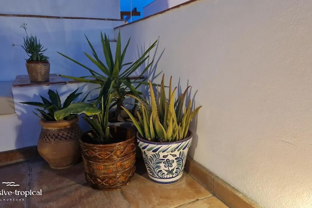Casa de Férias La Casita Rustica Vila Almuñécar